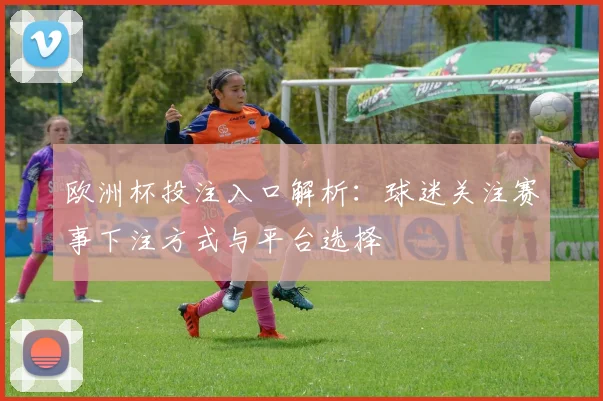 欧洲杯投注入口解析:球迷关注赛事下注方式与平台选择