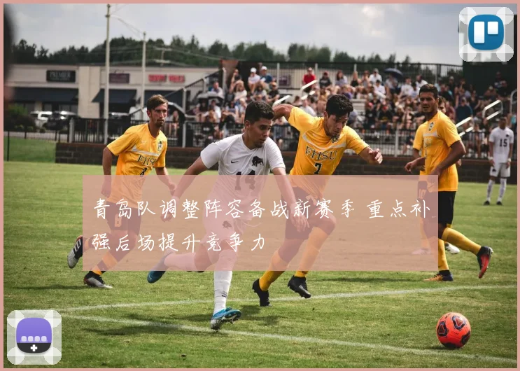青岛队调整阵容备战新赛季 重点补强后场提升竞争力