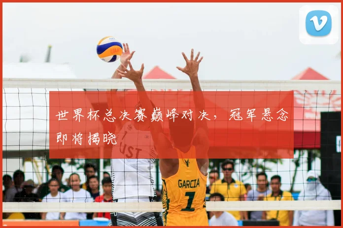 世界杯总决赛巅峰对决,冠军悬念即将揭晓